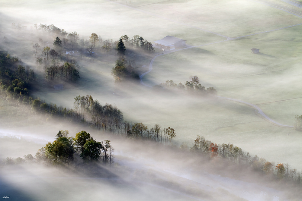 Nebel in der Morgenstunde