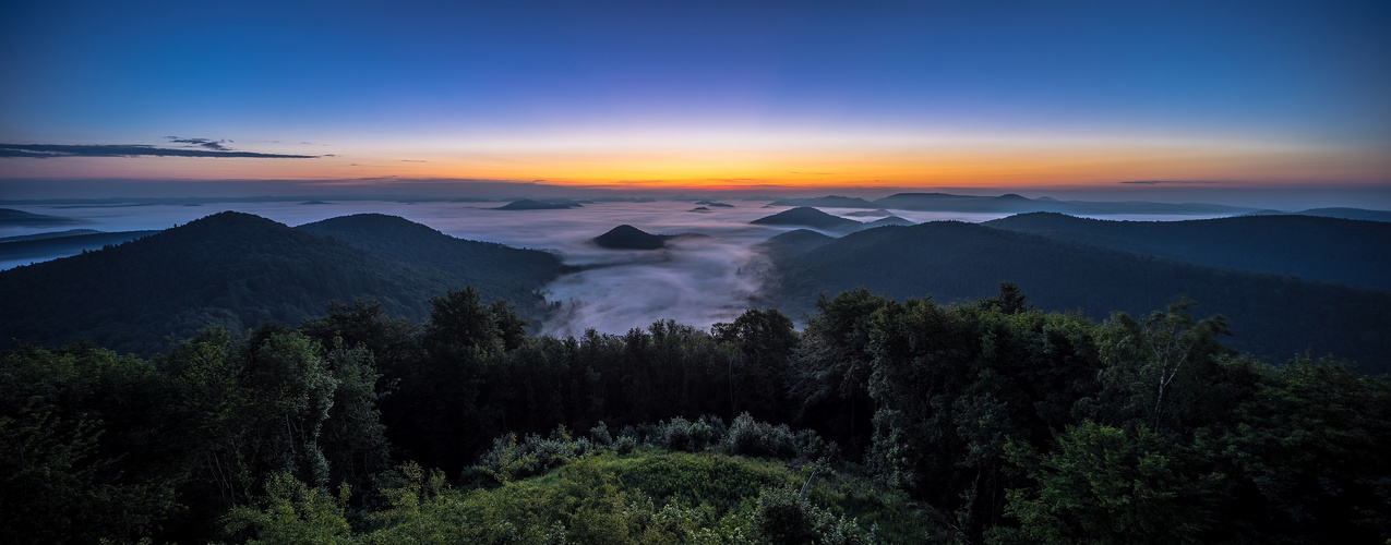 Nebel in der Nacht ....