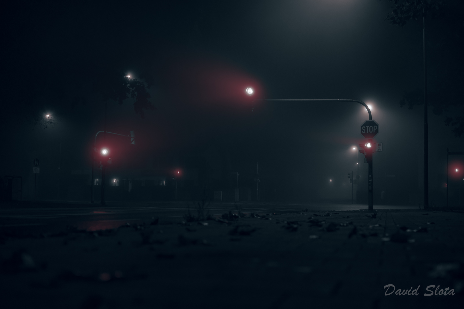 Nebel in der Nacht