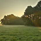 Nebel In der Nähe von Köln