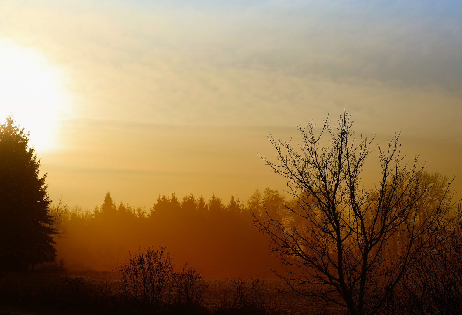 Nebel in der Prignitz