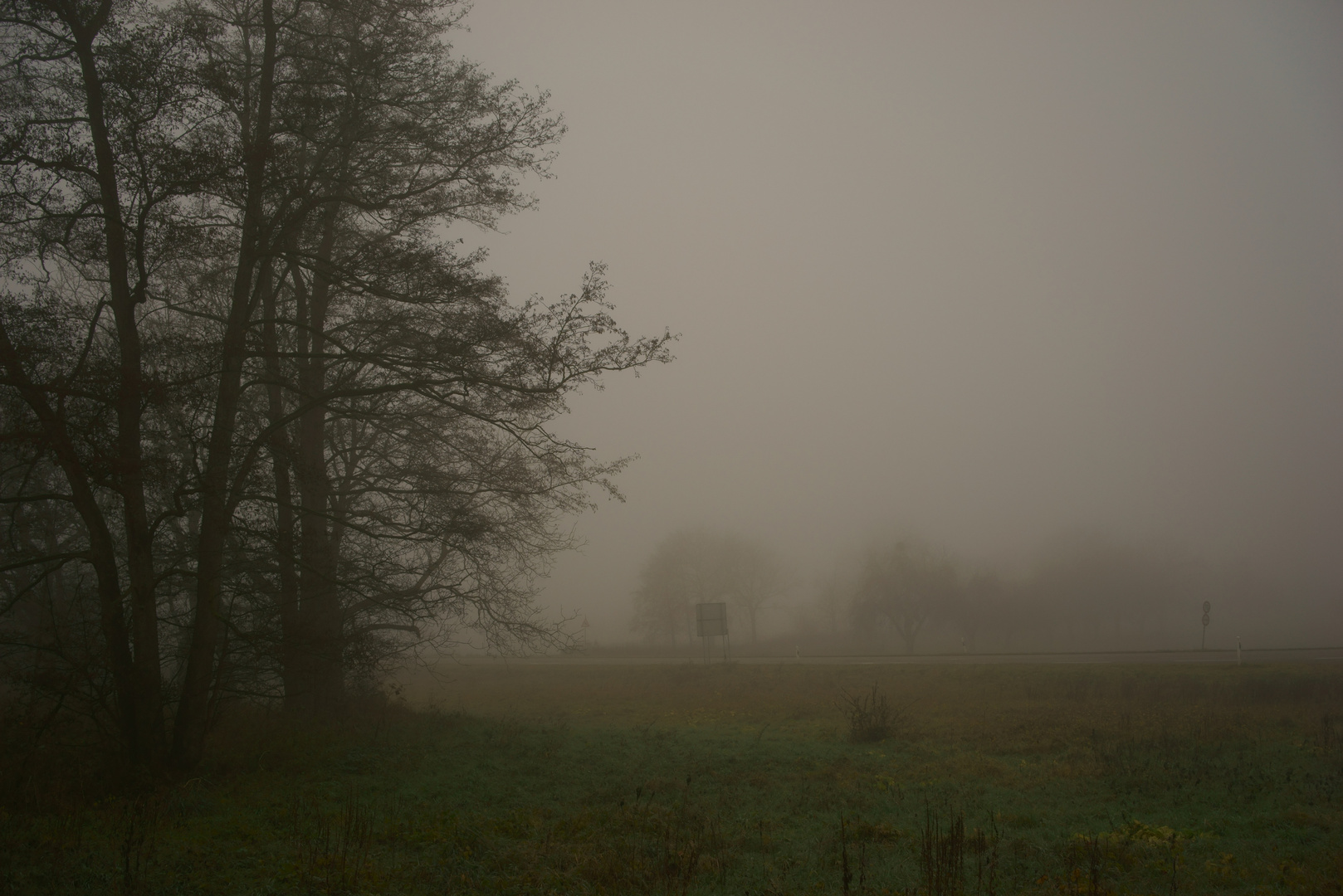 Nebel in der Rheinebene bei Baden-Baden