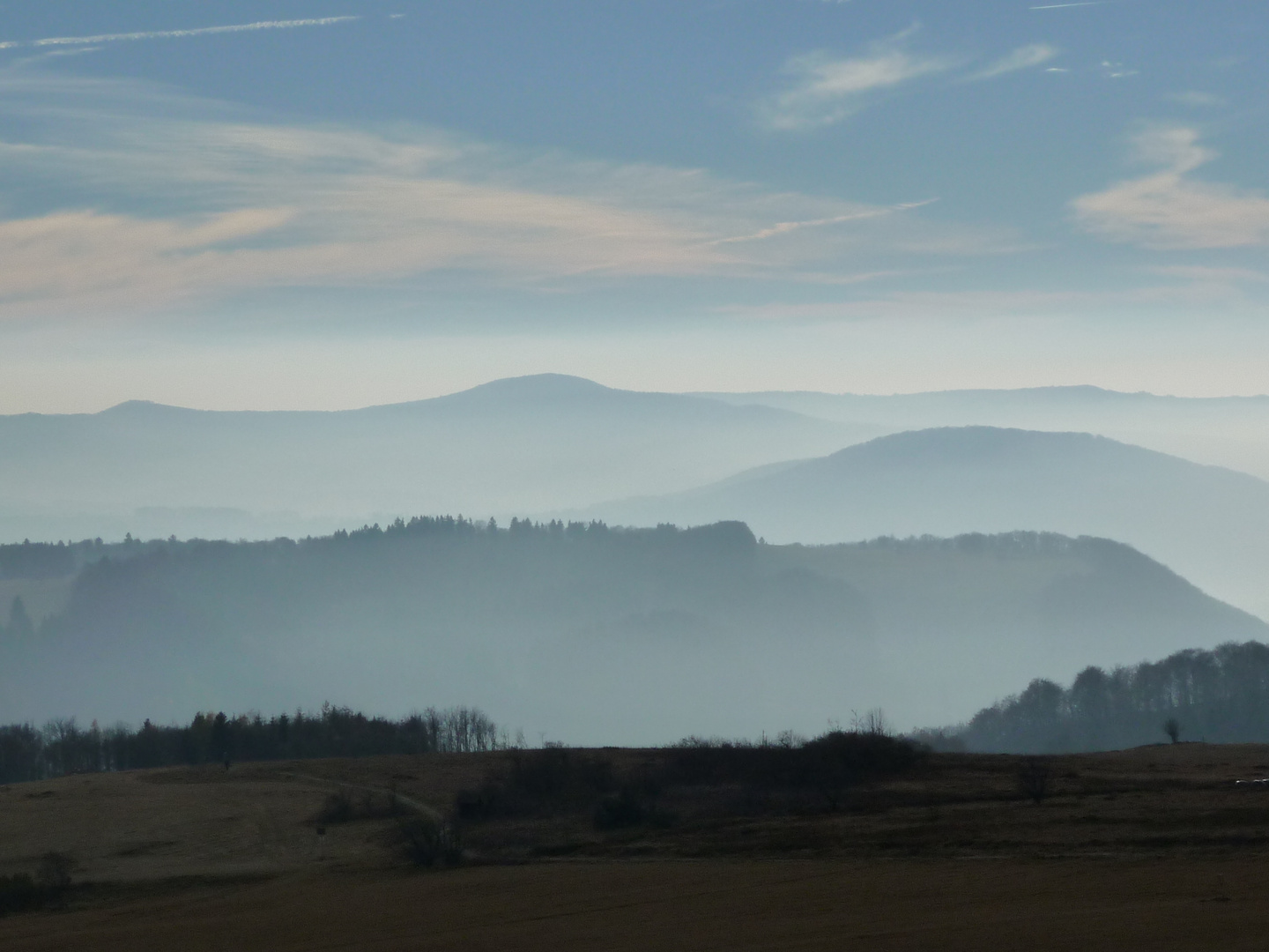 Nebel in der Rhön