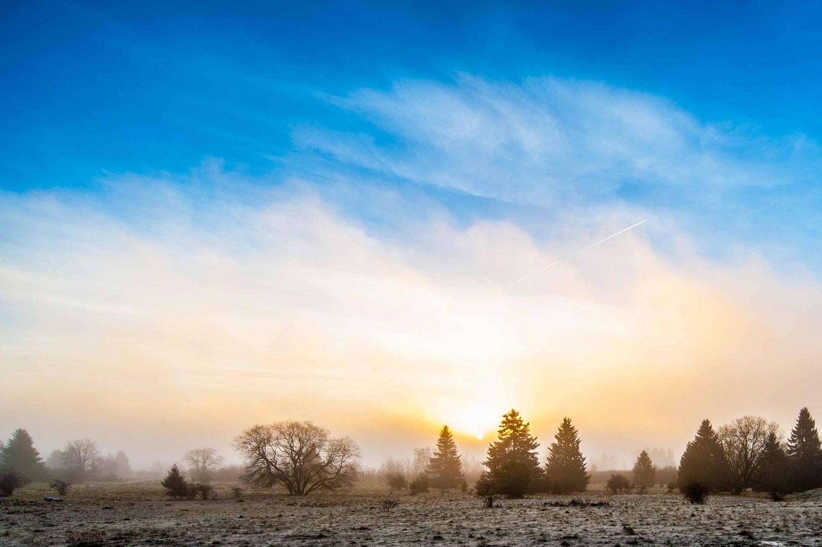 Nebel in der Rhön