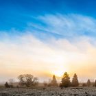 Nebel in der Rhön