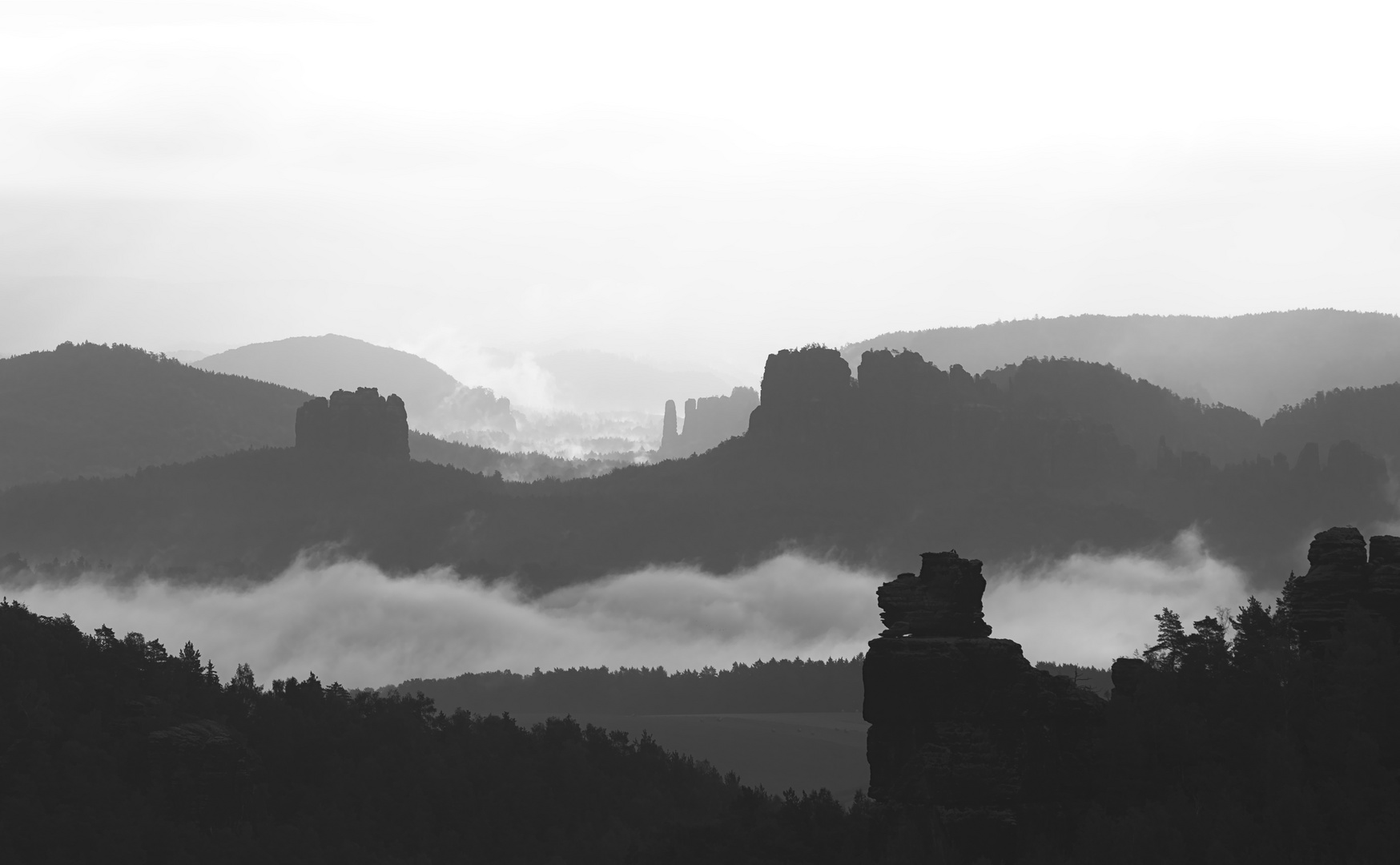 Nebel in der Sächsischen Schweiz