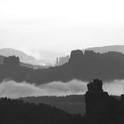 Nebel in der Sächsischen Schweiz