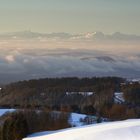 Nebel in der Schweiz