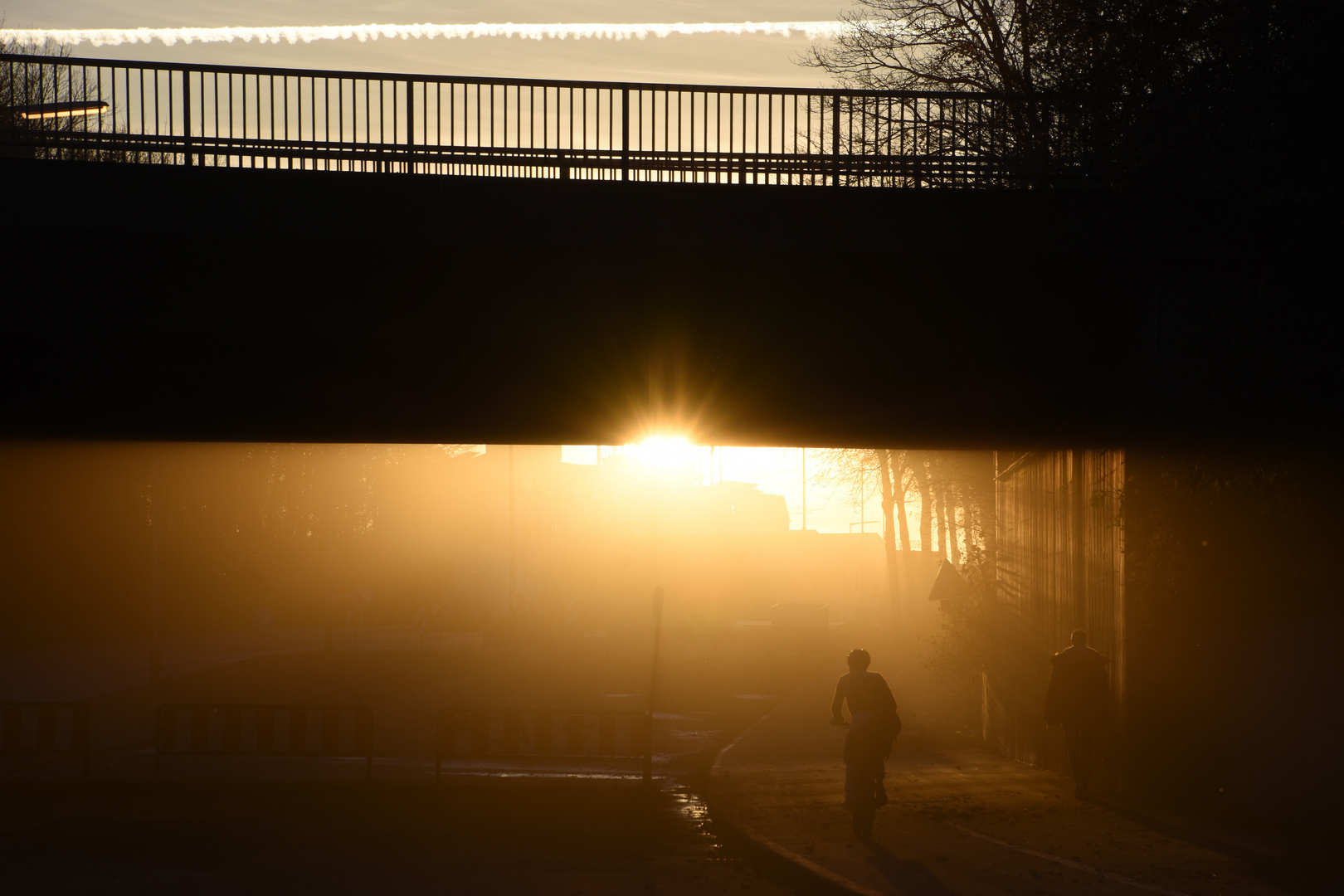 Nebel in der Sonne