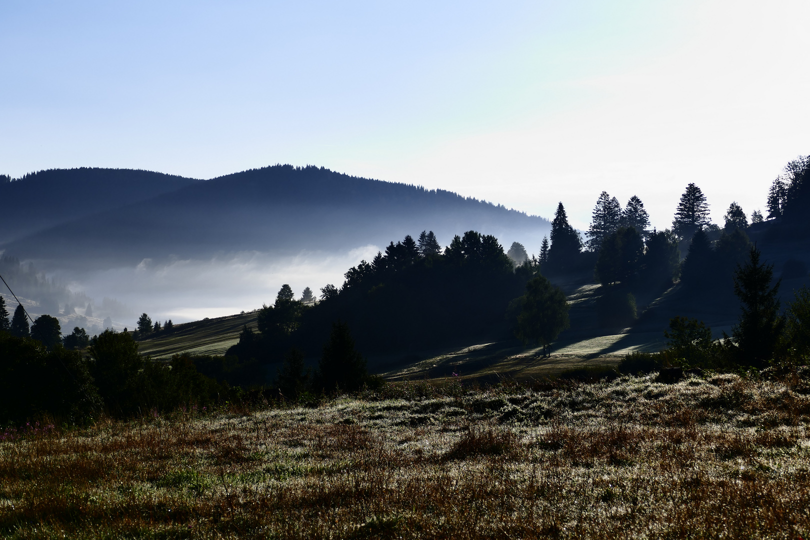 Nebel in der Sonne