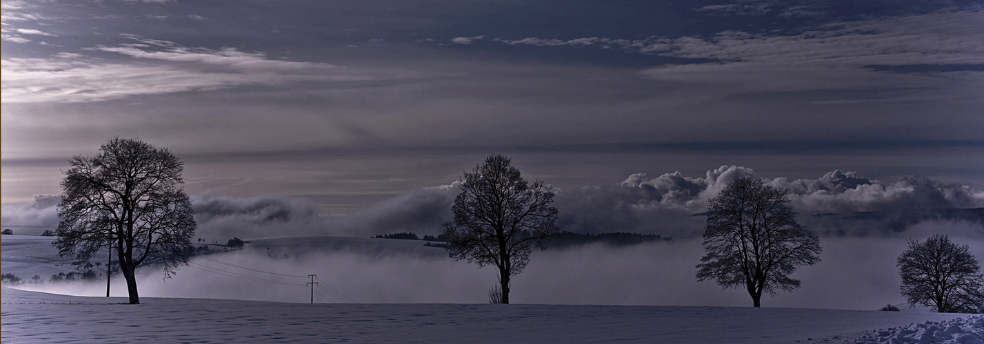 Nebel in der Talsenke