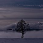 Nebel in der Talsenke