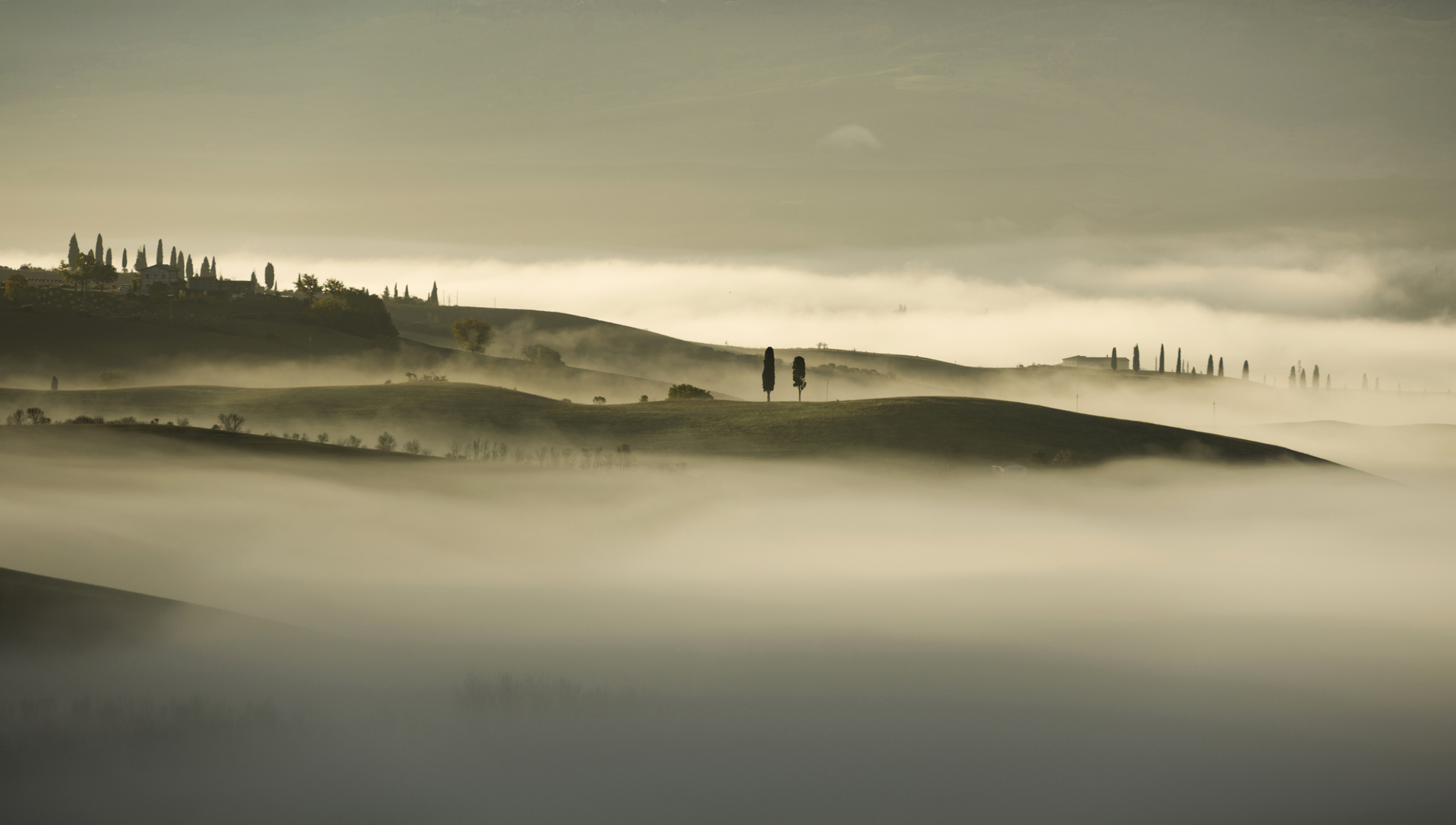 Nebel in der Toskana