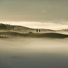 Nebel in der Toskana