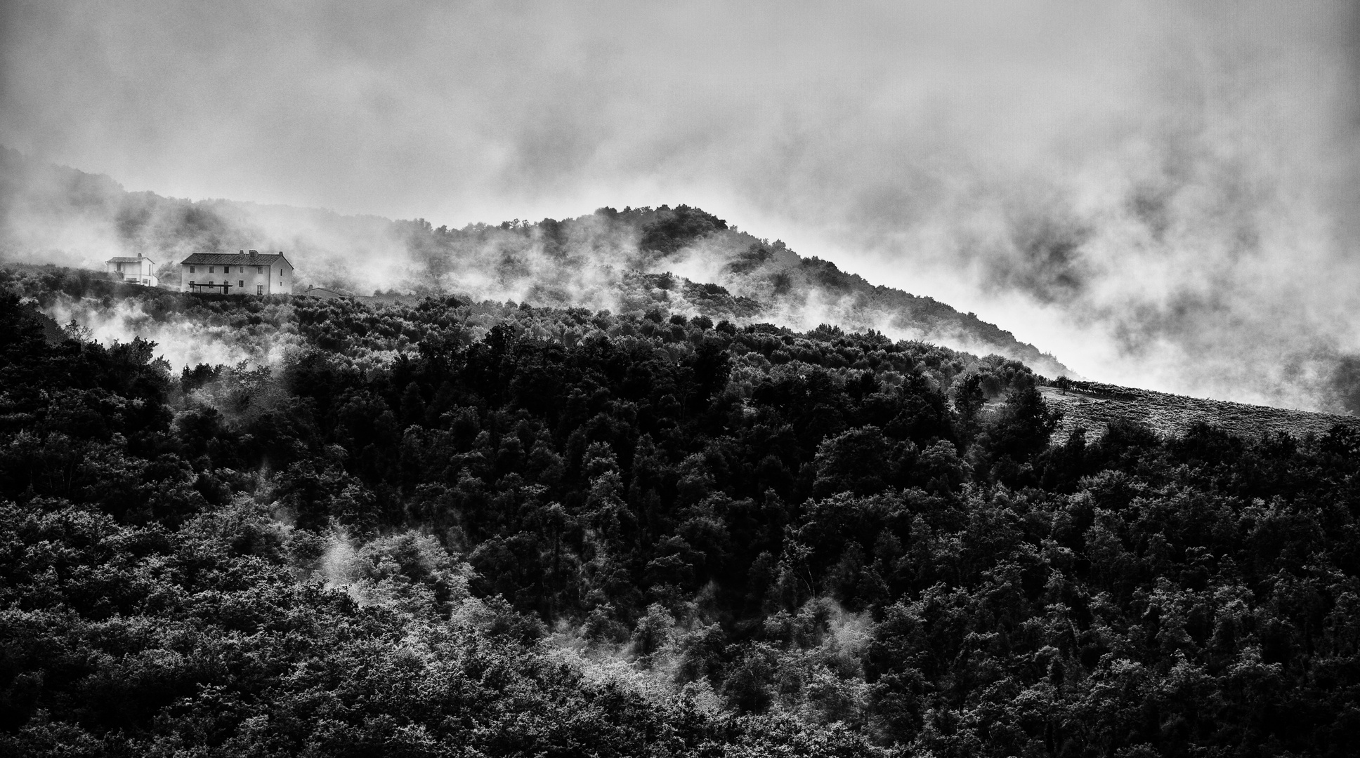 Nebel in der Toskana im September 2014