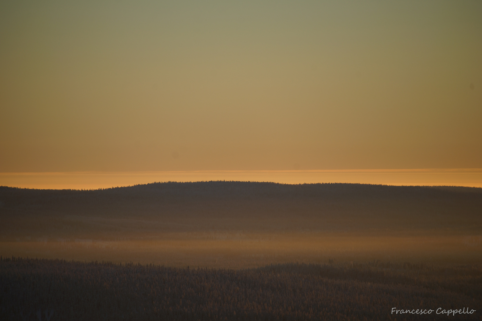 Nebel in der untergehenden Sonne