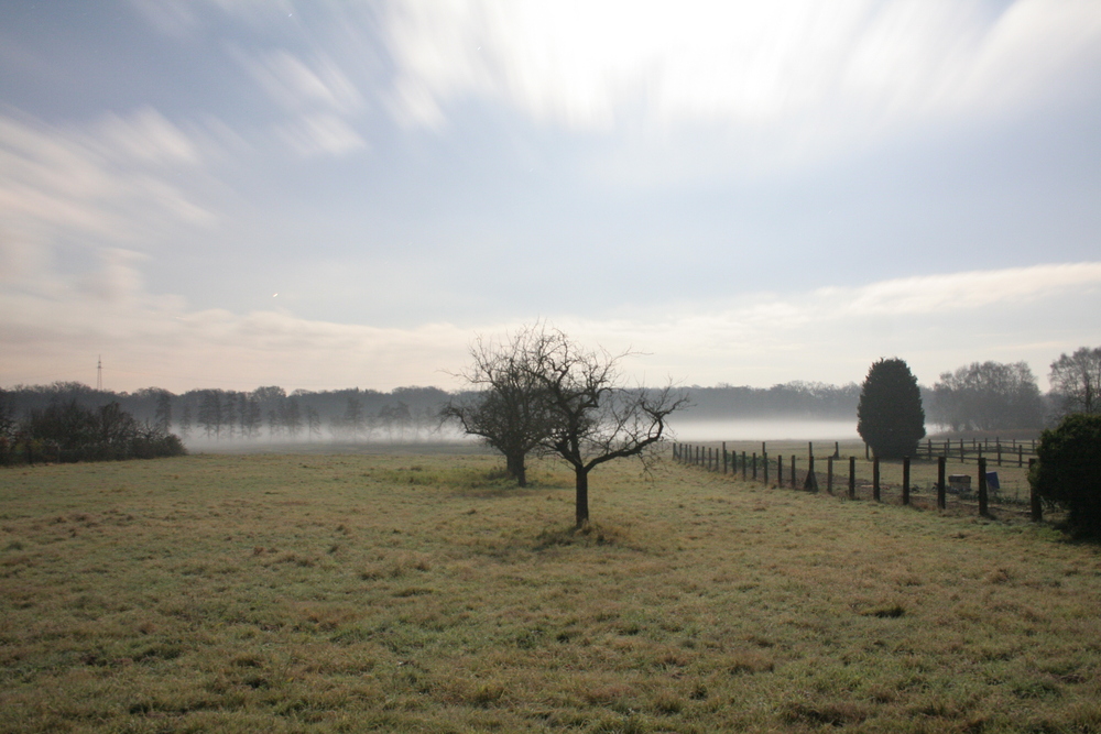 Nebel in der Vollmondnacht