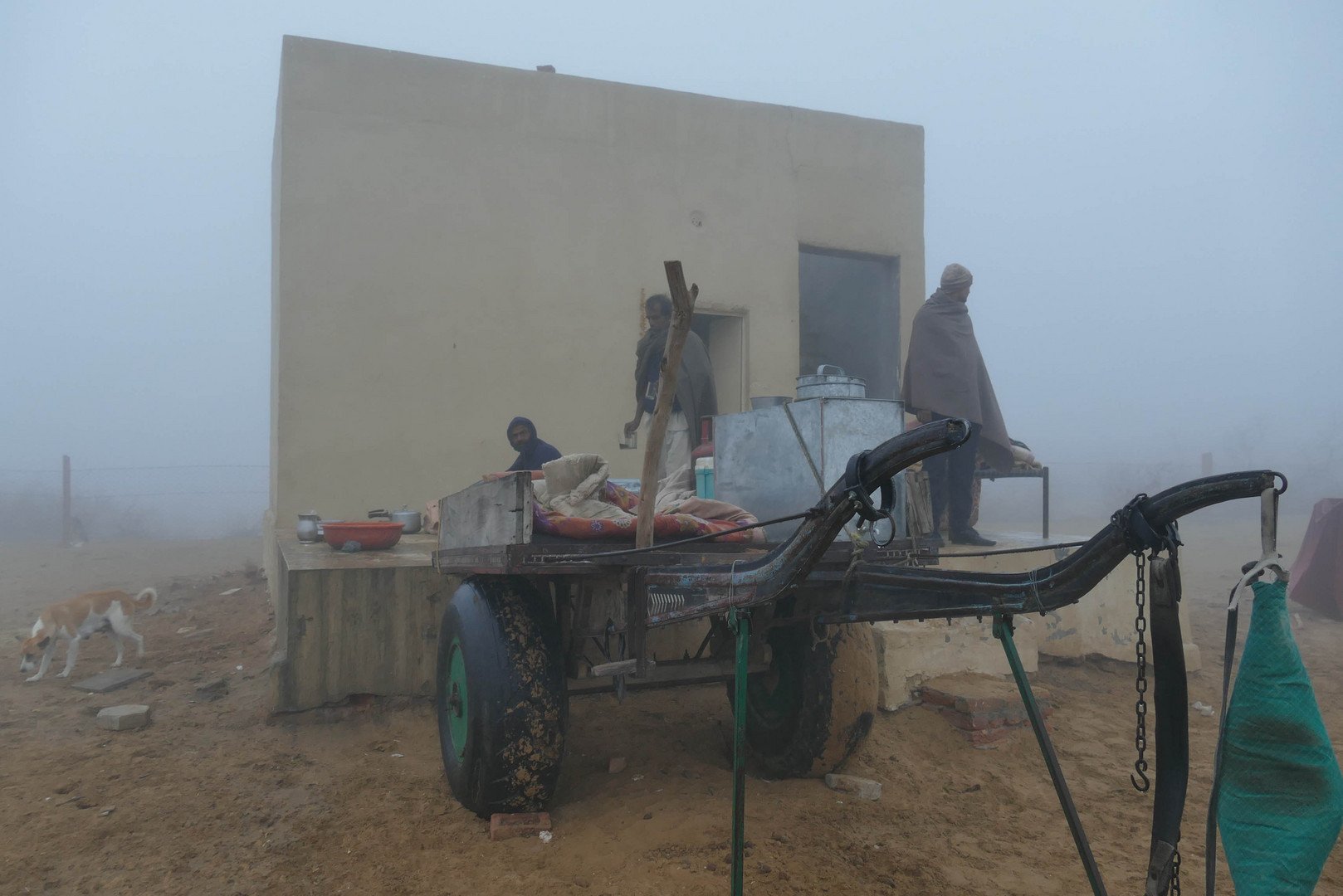 Nebel in der Wüste