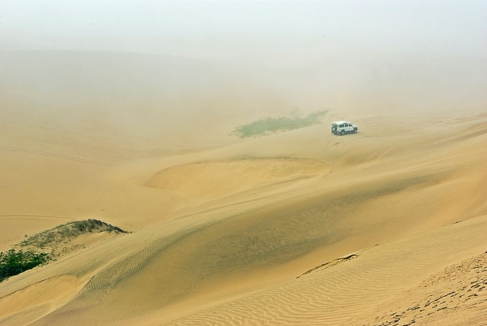 Nebel in der Wüste