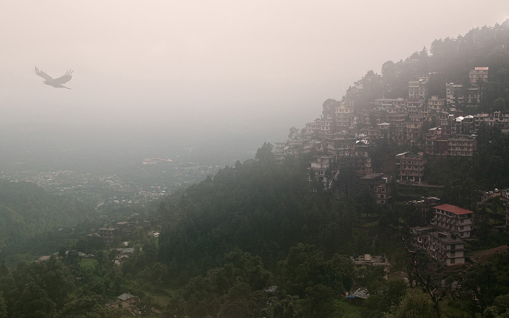 Nebel in Dharamsala