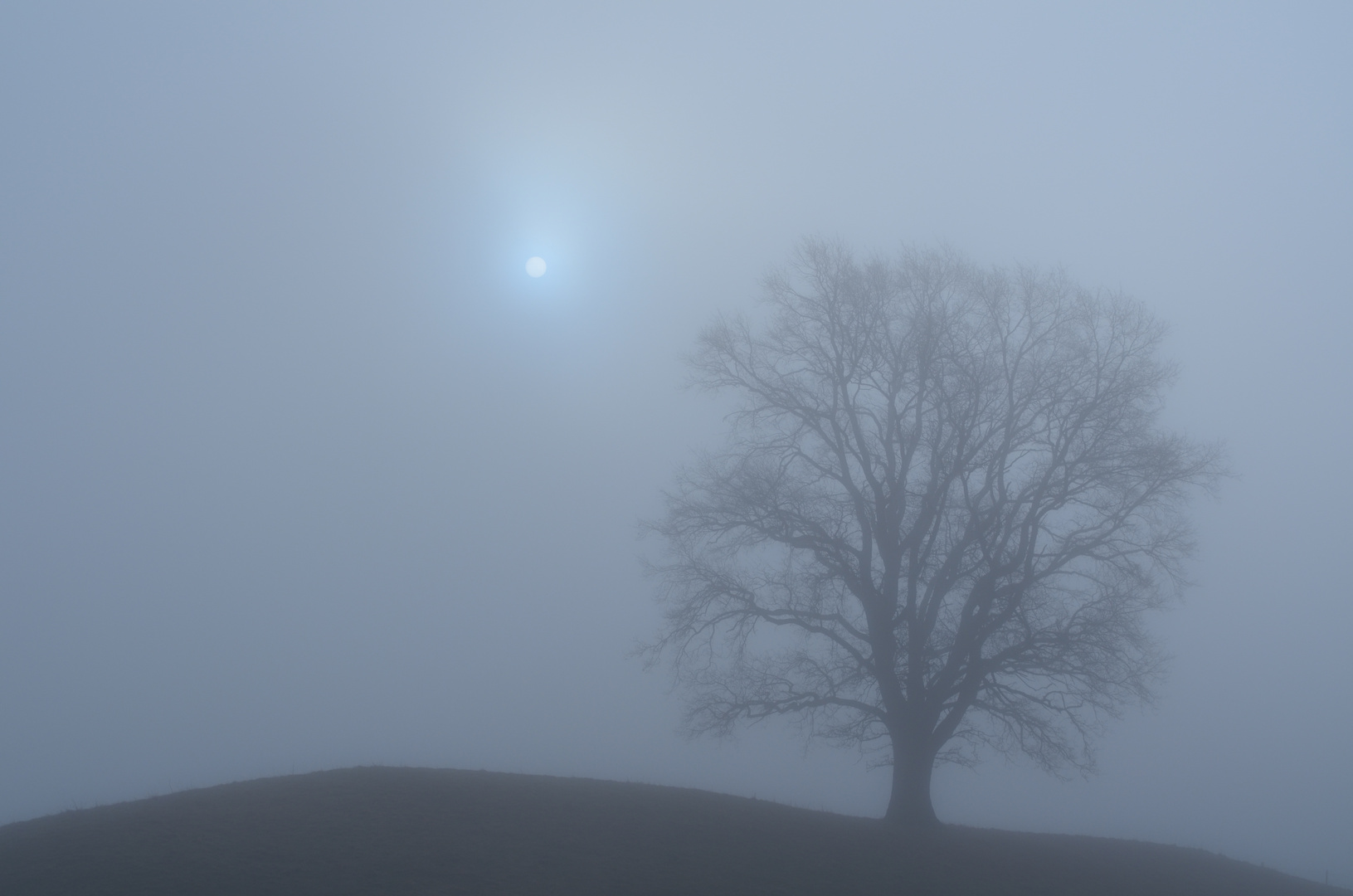 nebel in die nähe von starnberg
