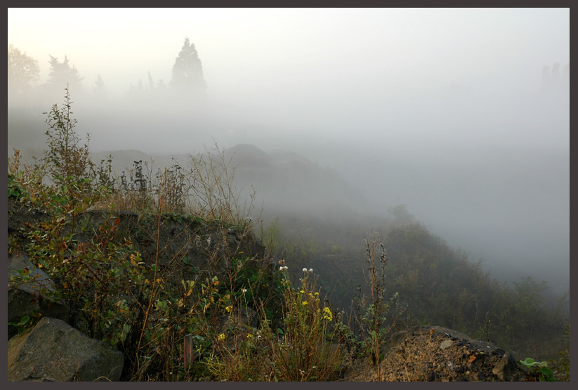 Nebel in einer Basaltgrube