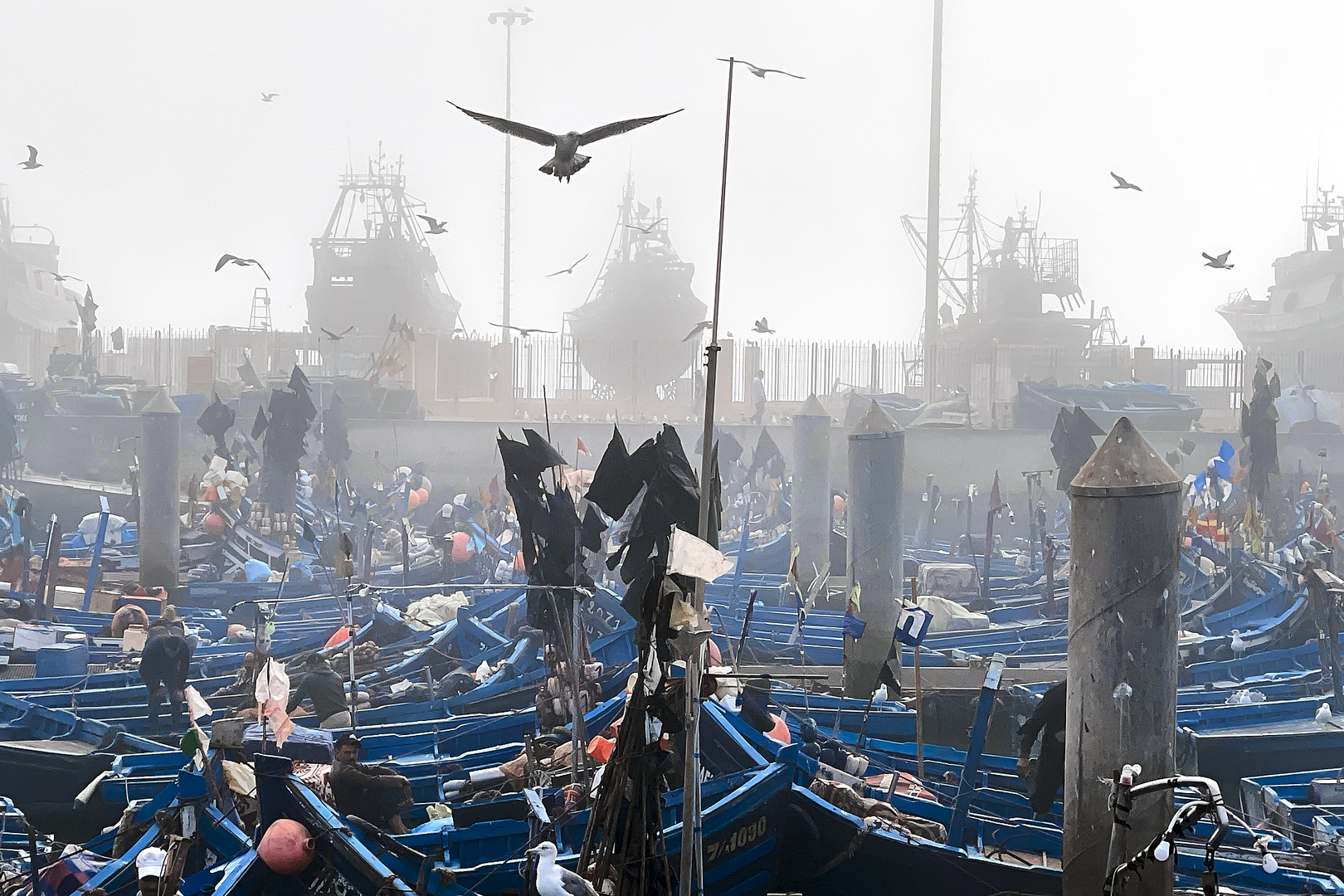 NEBEL IN ESSAOUIRA