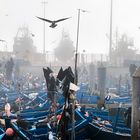 NEBEL IN ESSAOUIRA