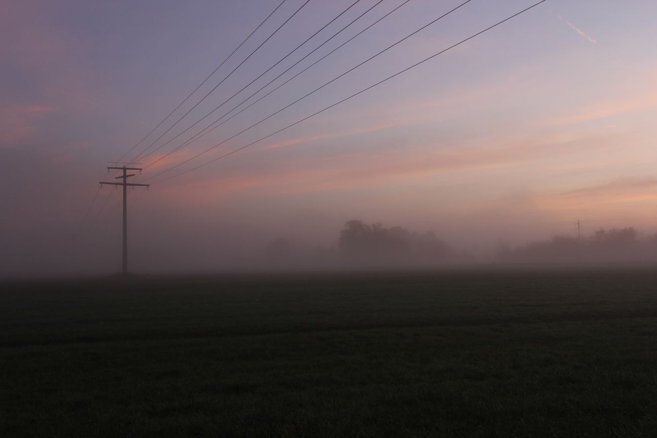 Nebel in Franken am See I