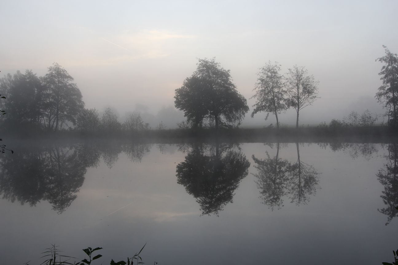 Nebel in Franken am See II