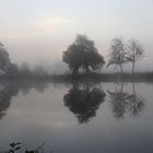 Nebel in Franken am See II