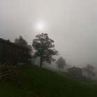 Nebel in Gerstruben