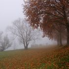 Nebel in Götterswickerhamm