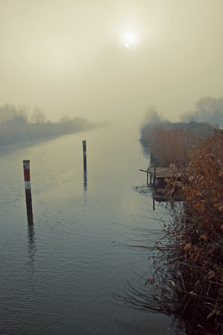 Nebel in Grado