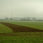 Nebel in grün