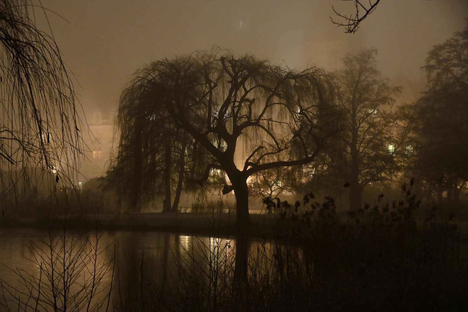 Nebel in Hannover