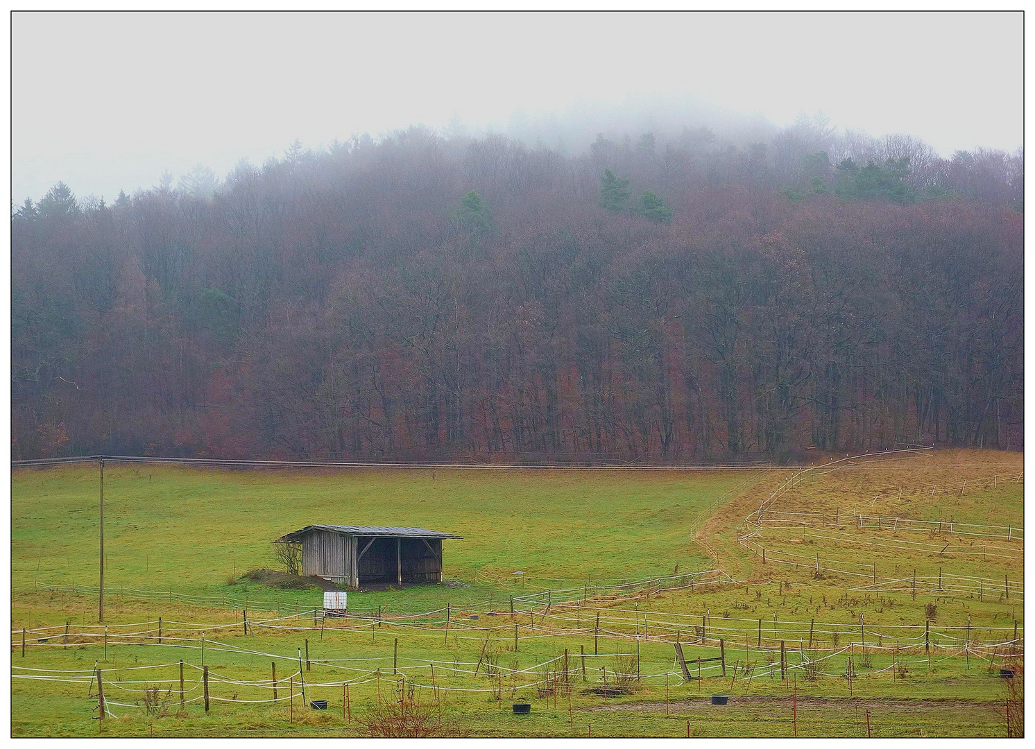 Nebel in höheren Berglagen