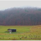 Nebel in höheren Berglagen