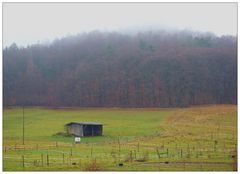 Nebel in höheren Berglagen