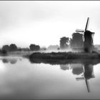 Nebel in Holland