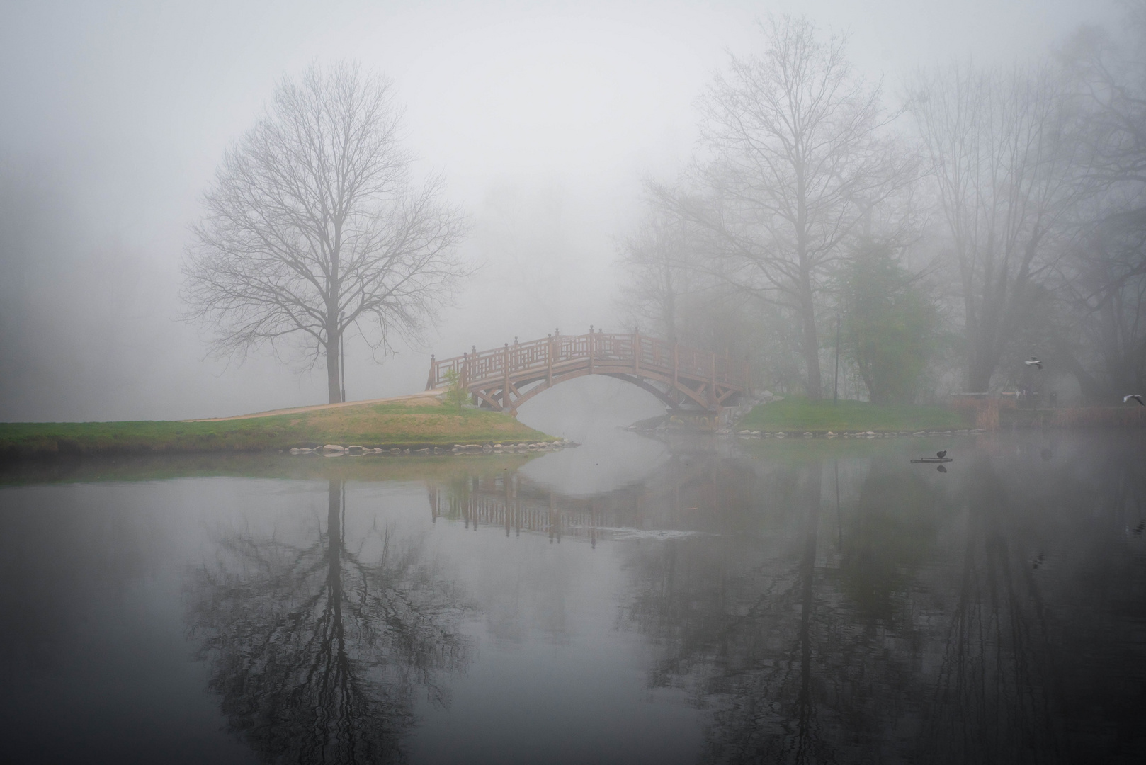 Nebel in Leipzig 