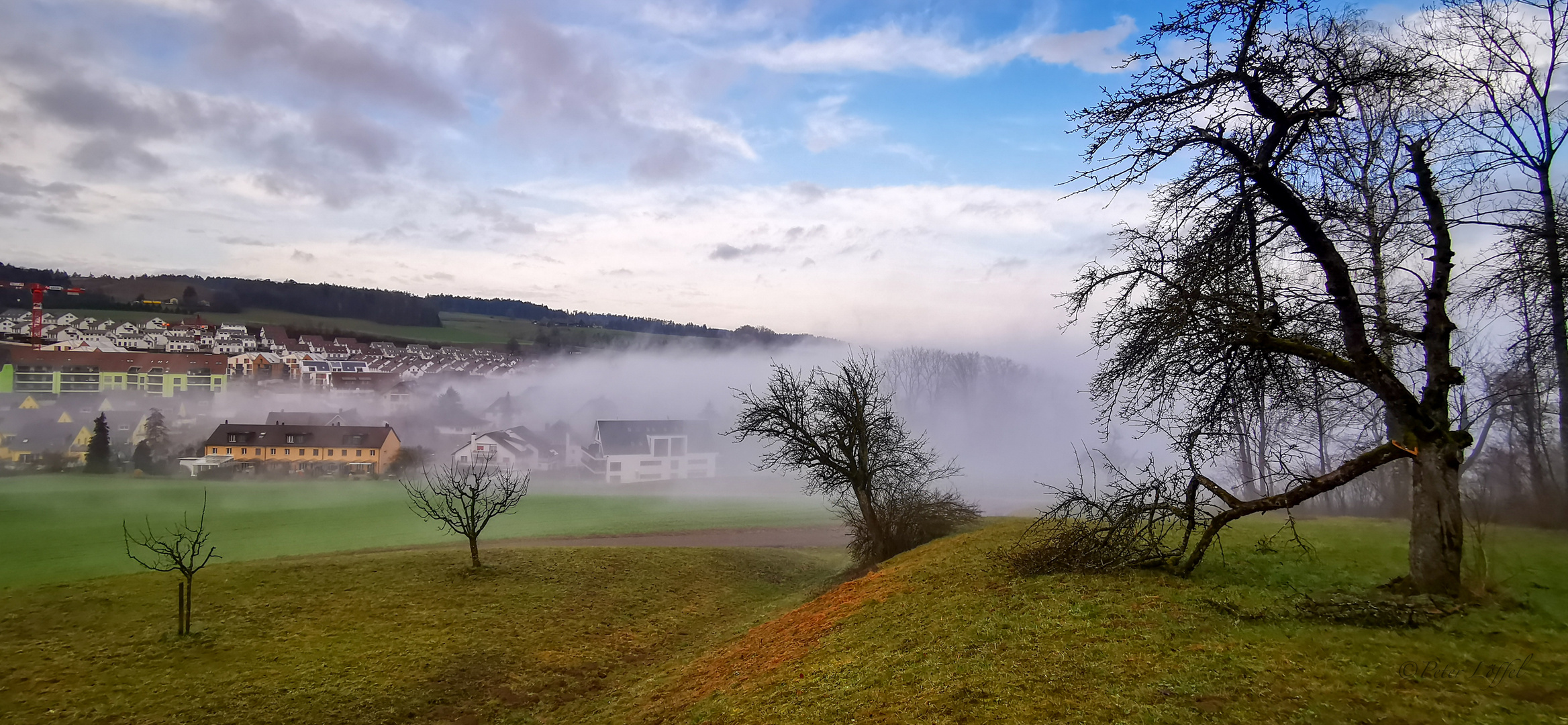 Nebel in Lufingen