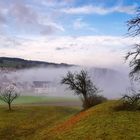 Nebel in Lufingen