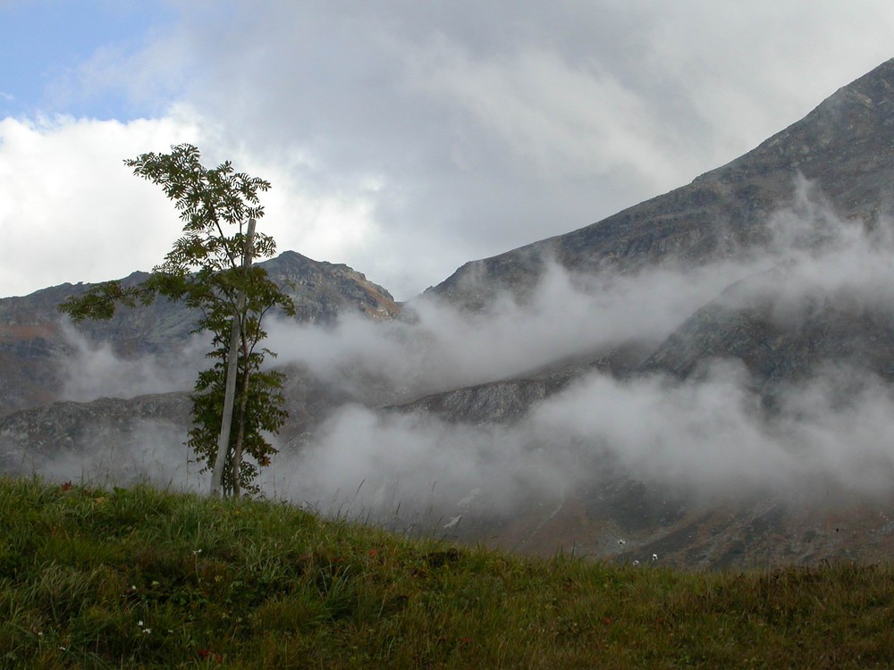 Nebel in Maloja