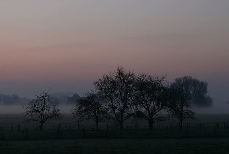 Nebel in Mesmeorde