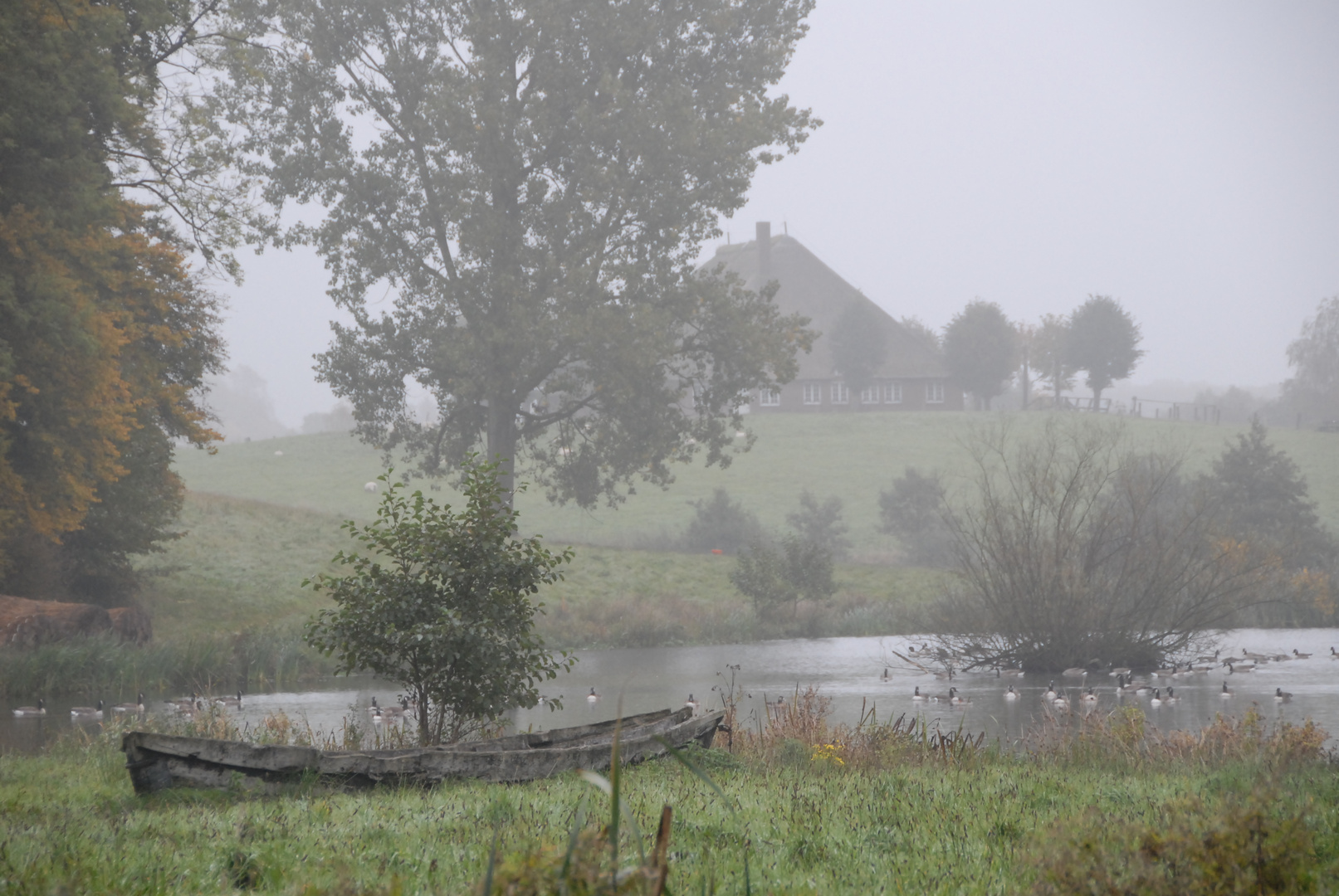 Nebel in Molfsee