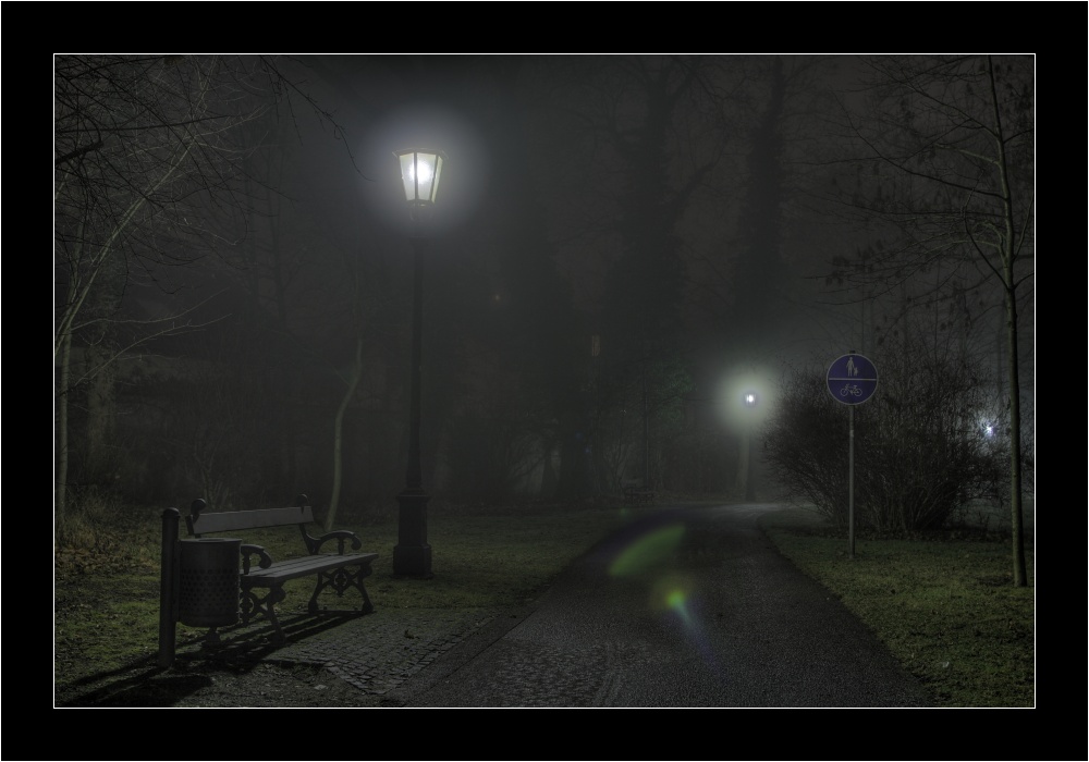 Nebel in Nachbars Garten