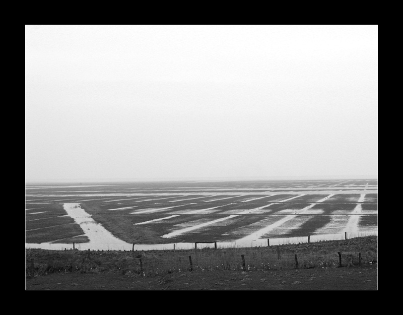 nebel in nordfriesland