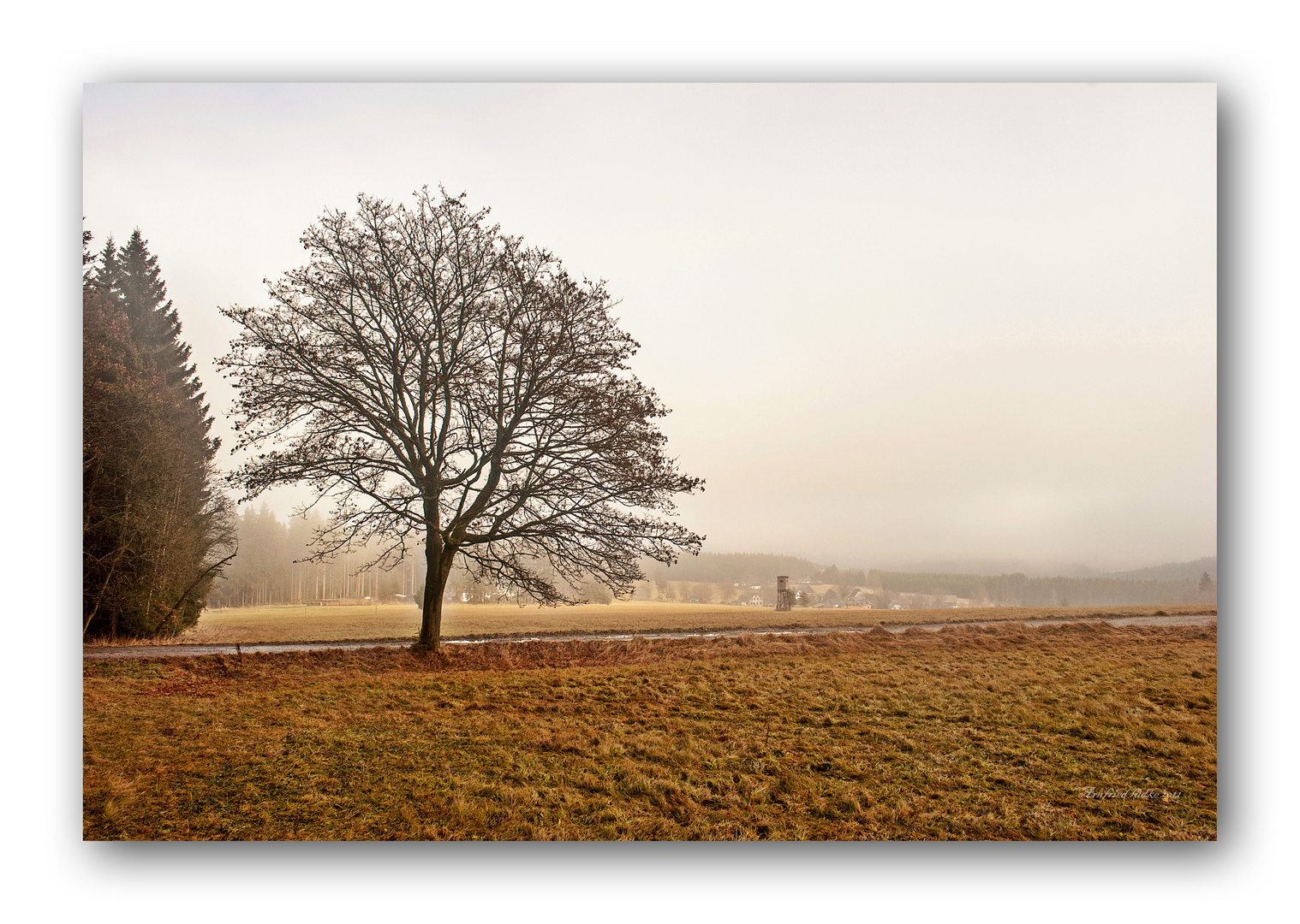 Nebel in Oberjugel