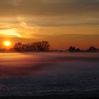 Nebel in Orange